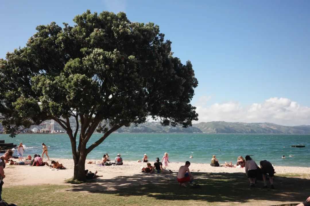 Cuba, Wellington's Journey to Rest