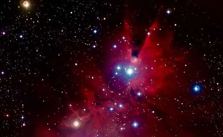 Sparkling Icicles, Fiery Red 'Christmas Trees'—The Celestial Spectacle of the Christmas Tree Star Cluster